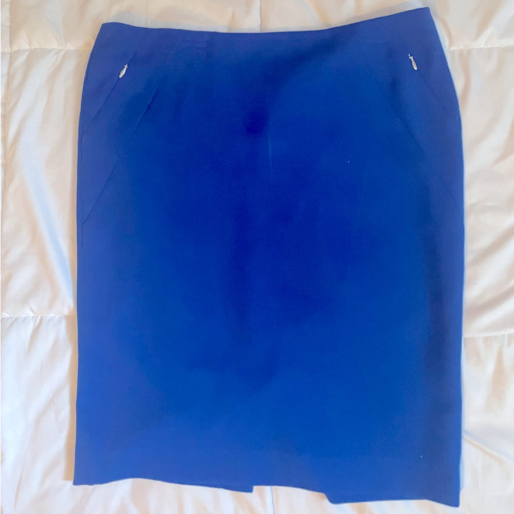 THE LIMITED Skirt